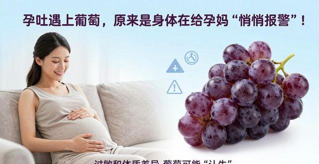 为什么孕妇吃葡萄会吐_吐孕妇葡萄吃会流产吗_吐孕妇葡萄吃会怎么样